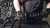 thumb-image-490684